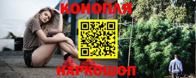 спайс Гай