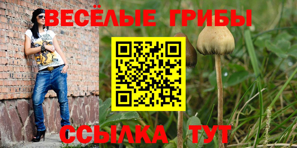 Гуково  как найти закладки  Вход с VPN  Псилоцибиновые грибы Psilocybine cubensis  Галлюциногенные грибы Cubensis 