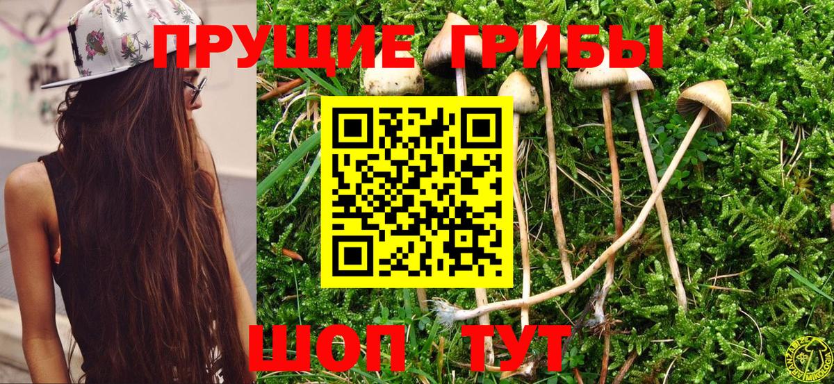 Галлюциногенные грибы MAGIC MUSHROOMS Гуково